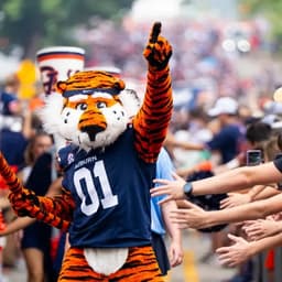 Auburn