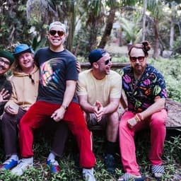 Badfish