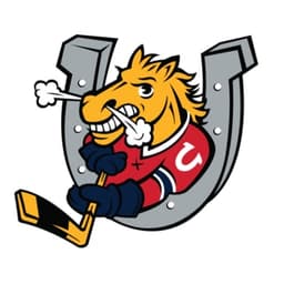Barrie Colts