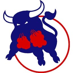 Birmingham Bulls