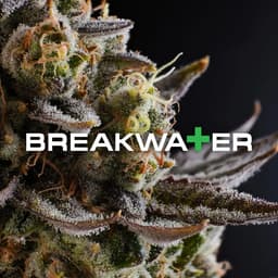 Breakwater
