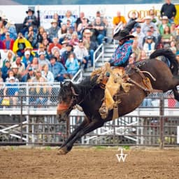 Bulls and Broncs