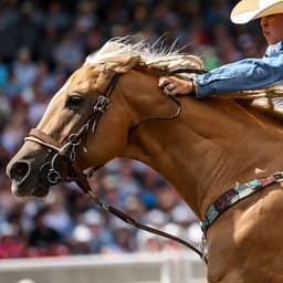 Calgary Stampede