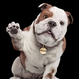 Churchill