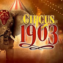 Circus Golden Star