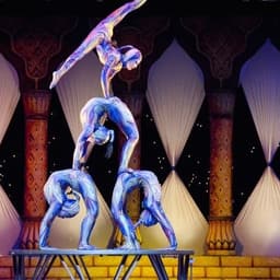 Cirque Mechanics