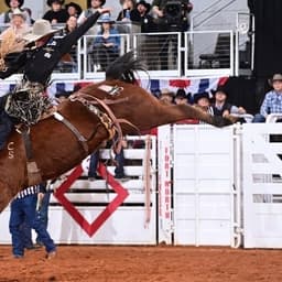 Cooks Rodeo Days