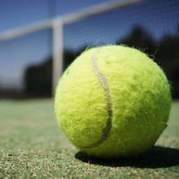Dallas Open