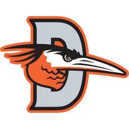 Delmarva Shorebirds