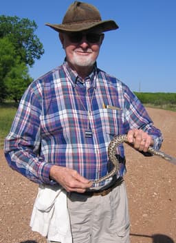 Dixon
