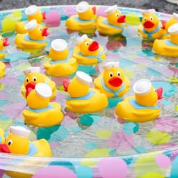 Duck Pond