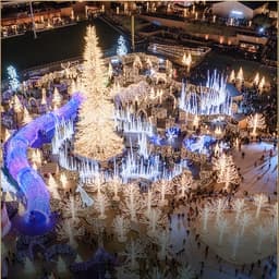 Enchant Christmas