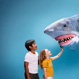 Erth's Shark Dive