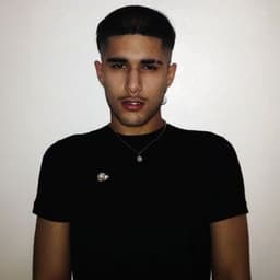Fakemink