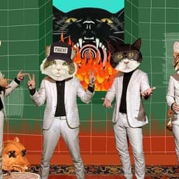 Fantastic Cat