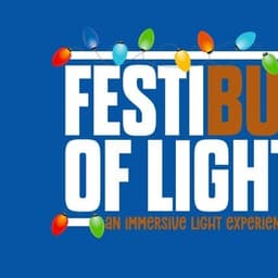 FestiBull of Lights