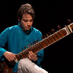 Flamenco India