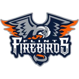 Flint Firebirds