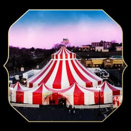 Flip Circus