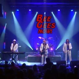 Florida Bee Gees