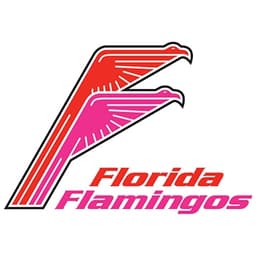 Florida Flamingos