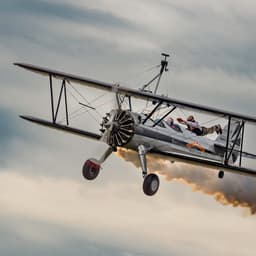 Flying Circus