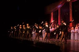 Follies