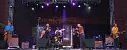 Gin Blossoms