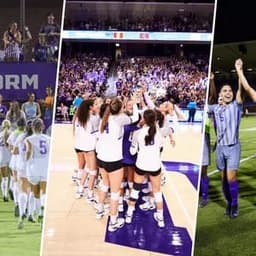 Grand Canyon Lopes