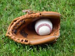 Greenville Drive