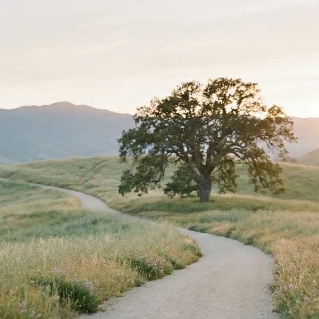 In-Person Systemic & Family Constellations Full-Day Workshop