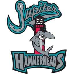 Jupiter Hammerheads