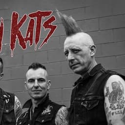 Koffin Kats