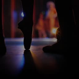 Lake Area Ballet