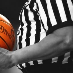 LSU Lady Tigers