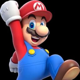 Mario Canon