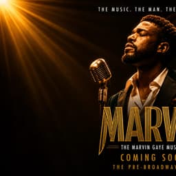 Marvin Gaye Musical