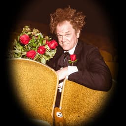 Mister Romantic
