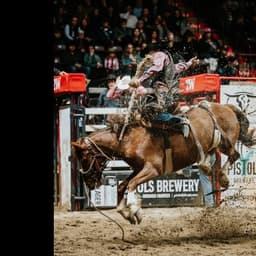 Moncton Stampede