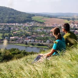 Moselle