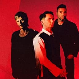 Muse