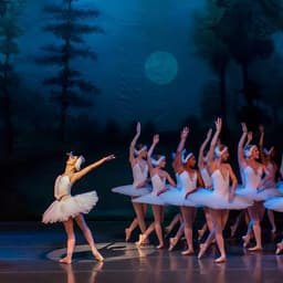 Naples Ballet