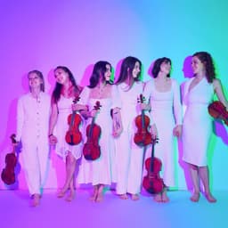 Palaver Strings