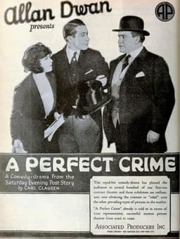 Perfect Crime