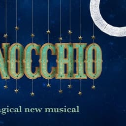 Pinnochio