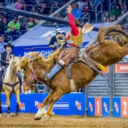 ProRodeo