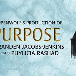 Purpose - Play