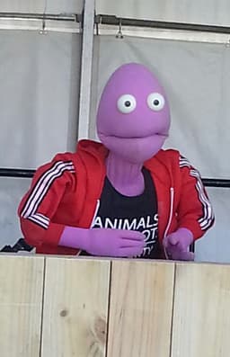 Randy Feltface