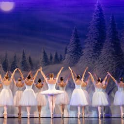 Redding City Ballet