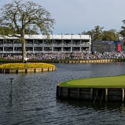 RSM Classic